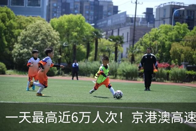 一天最高近6万人次！京港澳高速原阳服务区成“打卡点”，20项免费服务，可免费理发、洗浴、洗衣等，司机：真是高速上的“胖东来”