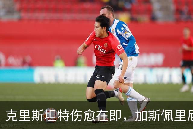 克里斯坦特伤愈在即，加斯佩里尼盼他赶上那不勒斯