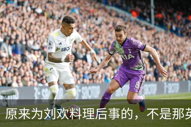 原来为刘欢料理后事的，不是那英也不是韩红，而是一直没露面的她