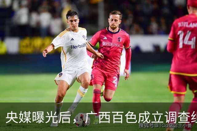 央媒曝光后，广西百色成立调查组