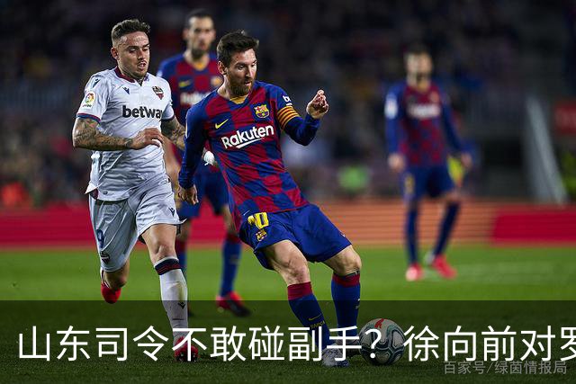 山东司令不敢碰副手？徐向前对罗荣桓一令不发，主席连换三将才破局