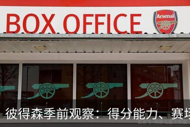 彼得森季前观察：得分能力、赛场稳定性及成长环境