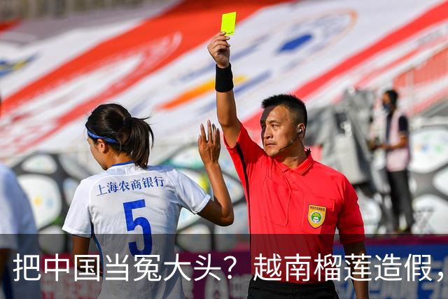 把中国当冤大头？越南榴莲造假，销量暴跌，副总理亲自来华求松口