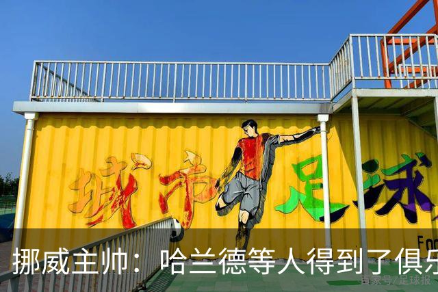 挪威主帅：哈兰德等人得到了俱乐部的休假，他们坐私人飞机离开