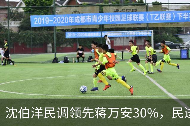 沈伯洋民调领先蒋万安30%，民进党要停办双城论坛？陆委会表态了