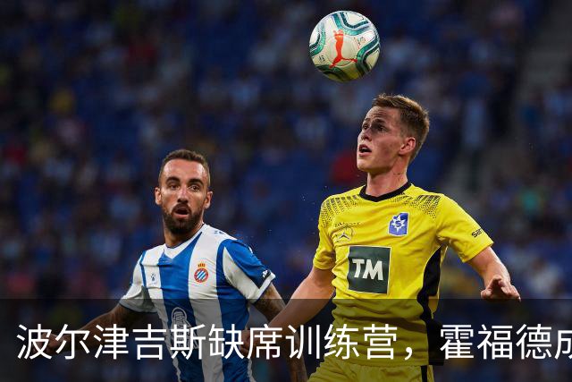 波尔津吉斯缺席训练营，霍福德成勇士中锋关键依靠