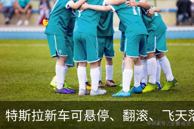 特斯拉新车可悬停、翻滚、飞天落地，预订意向金33.2万元