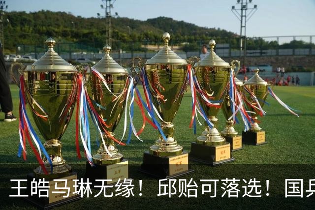 王皓马琳无缘！邱贻可落选！国乒公布亚锦赛教练名单，男队3人，女队4人