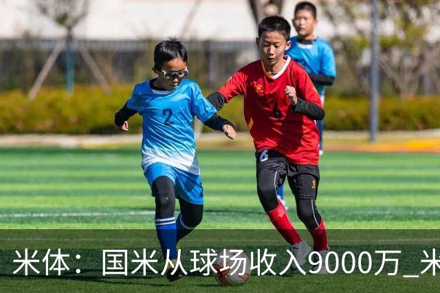 米体：国米从球场收入9000万 米兰6000万，加一起不如皇马巴黎等