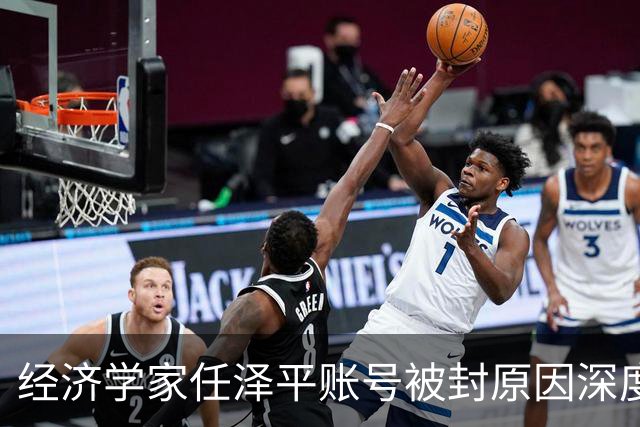 经济学家任泽平账号被封原因深度分析