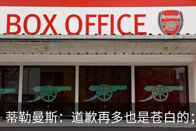 蒂勒曼斯：道歉再多也是苍白的；我们几乎所有环节都脱节了