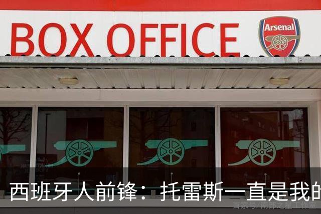 西班牙人前锋：托雷斯一直是我的偶像 希望能持续入选国家队集训