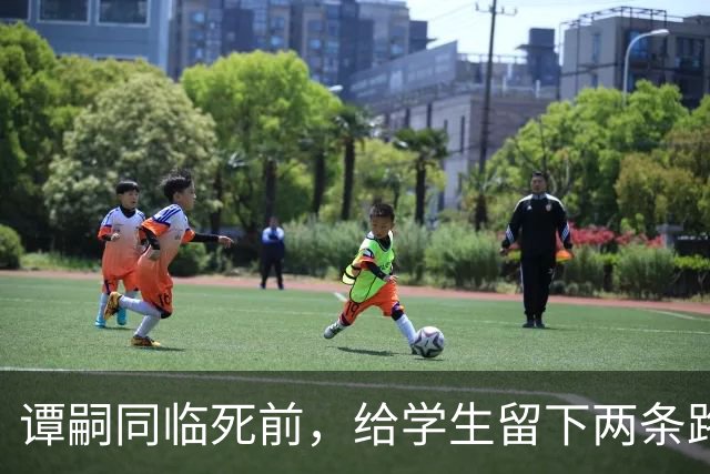 谭嗣同临死前，给学生留下两条路，一条通向朱德，一条通向毛泽东