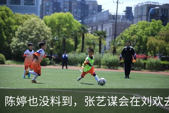陈婷也没料到，张艺谋会在刘欢去世后，因为一个举动再次火出圈！