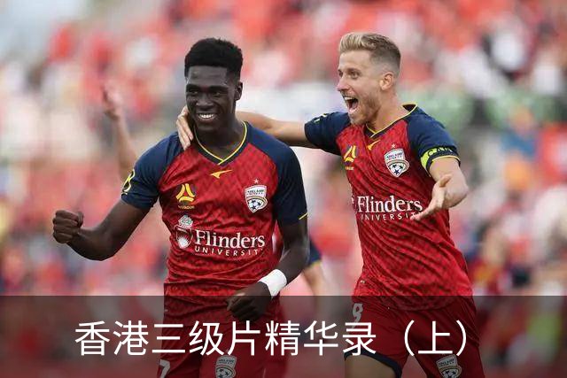 香港三级片精华录（上）