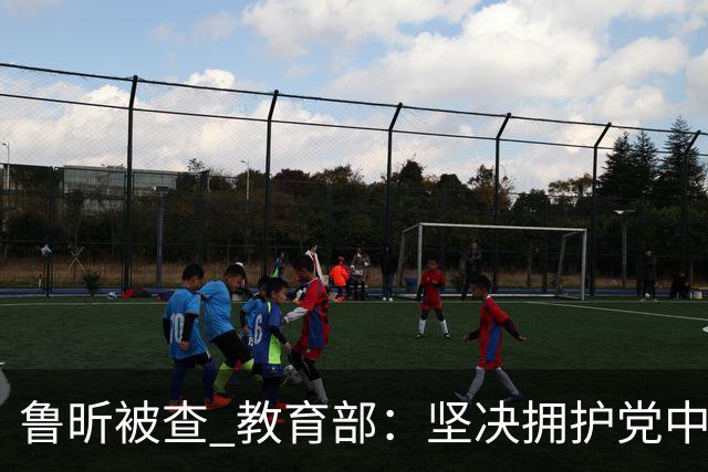 鲁昕被查 教育部：坚决拥护党中央决定