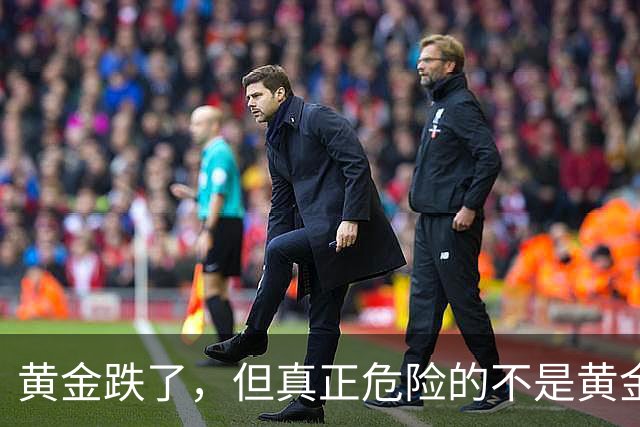 黄金跌了，但真正危险的不是黄金！