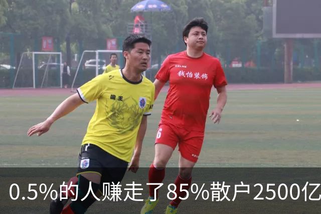 0.5%的人赚走了85%散户2500亿——泡沫与崩溃中的财富再分配